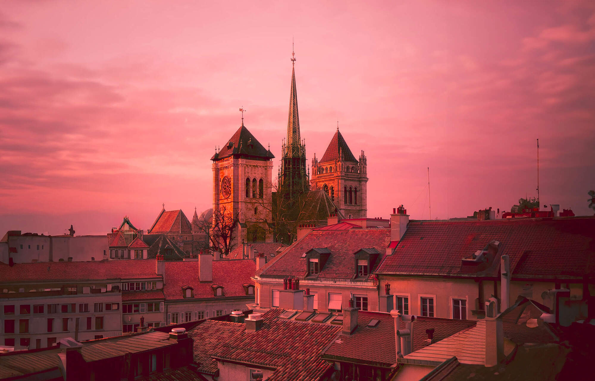 The Museum of Art and History